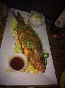 915 Snapper